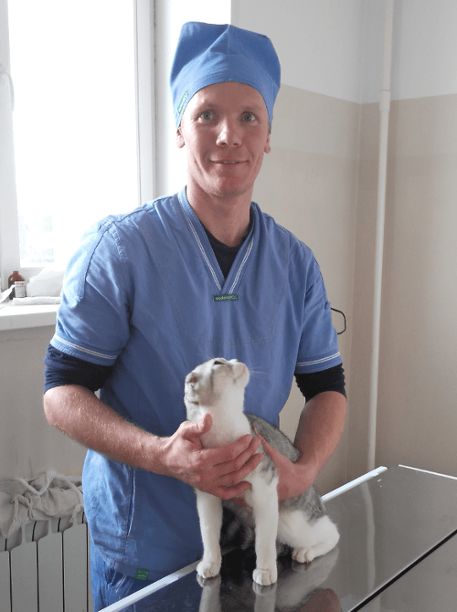 Ветеринар акушер-гинеколог в Хорошёвском районе Москвы - Эйсфельд Виктор Александрович